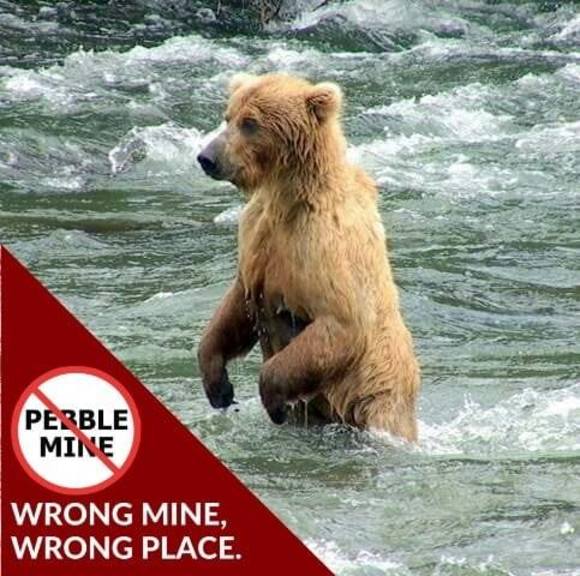 Meet your Posher, Jorene - Picture 1 of 1